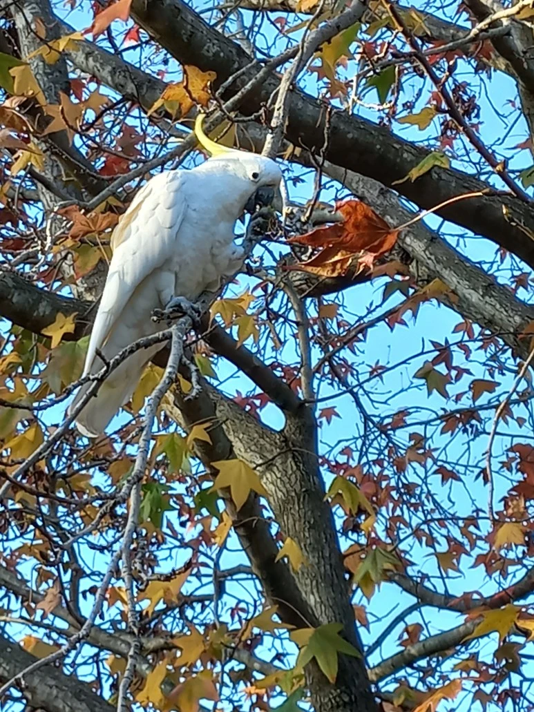 20230527_154954.jpg?type=w773