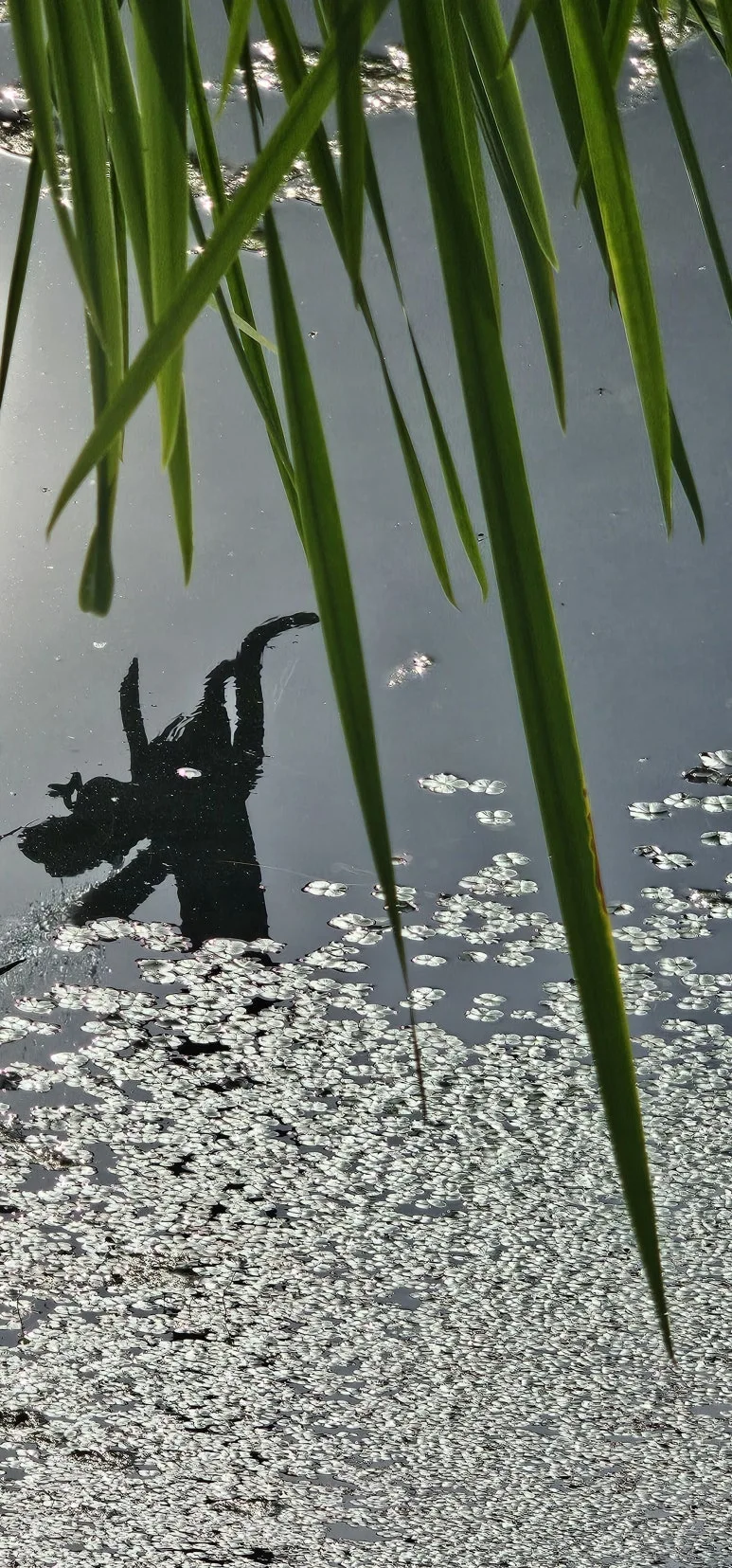 KakaoTalk_20240621_104723650.jpg?type=w773