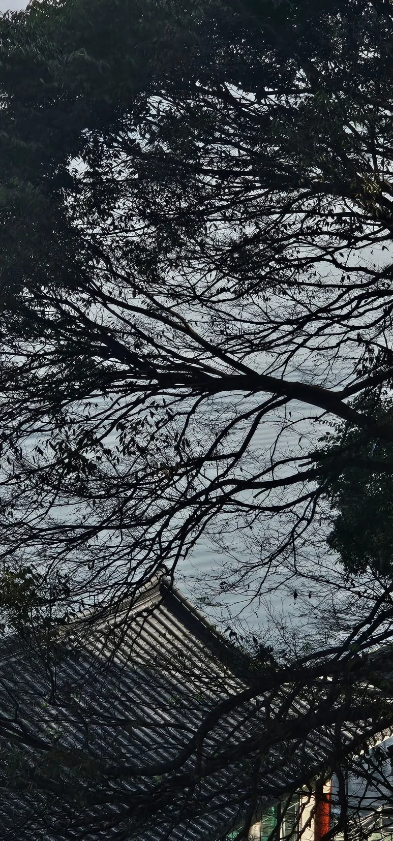 KakaoTalk_20241012_100352125.jpg?type=w773