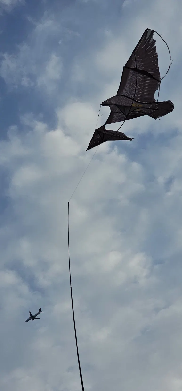 temp_1729463498308.460892948.jpeg?type=w773