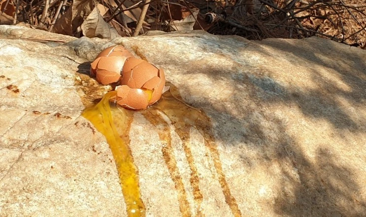 ?src=http%3A%2F%2Fblogfiles.naver.net%2FMjAyMjAxMDlfNjQg%2FMDAxNjQxNzA1NTE0OTgz.I6E6PKHbSKXWy9xw3IRfSdQDpcXHZCOcaOldTOFk3qcg.lcJwH5Qj7z2v0k3Sb_PGfnZ0noH2PZ-se7pxm8oVpUkg.JPEG.1actori%2F98922f83629cfd1db8e0c4ebb8aea8ce134747.jpg&type=sc960_832