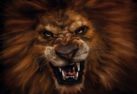 ?src=http%3A%2F%2Fblogfiles.naver.net%2FMjAyMzAzMTNfMjY2%2FMDAxNjc4NjM3NTU3Mzcy.m9Rs1HDLTzIwNpLfmCj-Z-dam-o4T3zF8Tm8zfB_MRkg.NKkIO8OhENeak2dS6CZFGs79HlbYqU4EVo2CoKHskzAg.JPEG.raceyoo%2F20230313%25A3%25DF011213.jpg&type=sc960_832