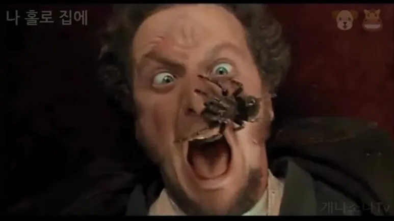 %EB%8B%A4%EC%9A%B4%EB%A1%9C%EB%93%9C_(12).jpg?type=w773