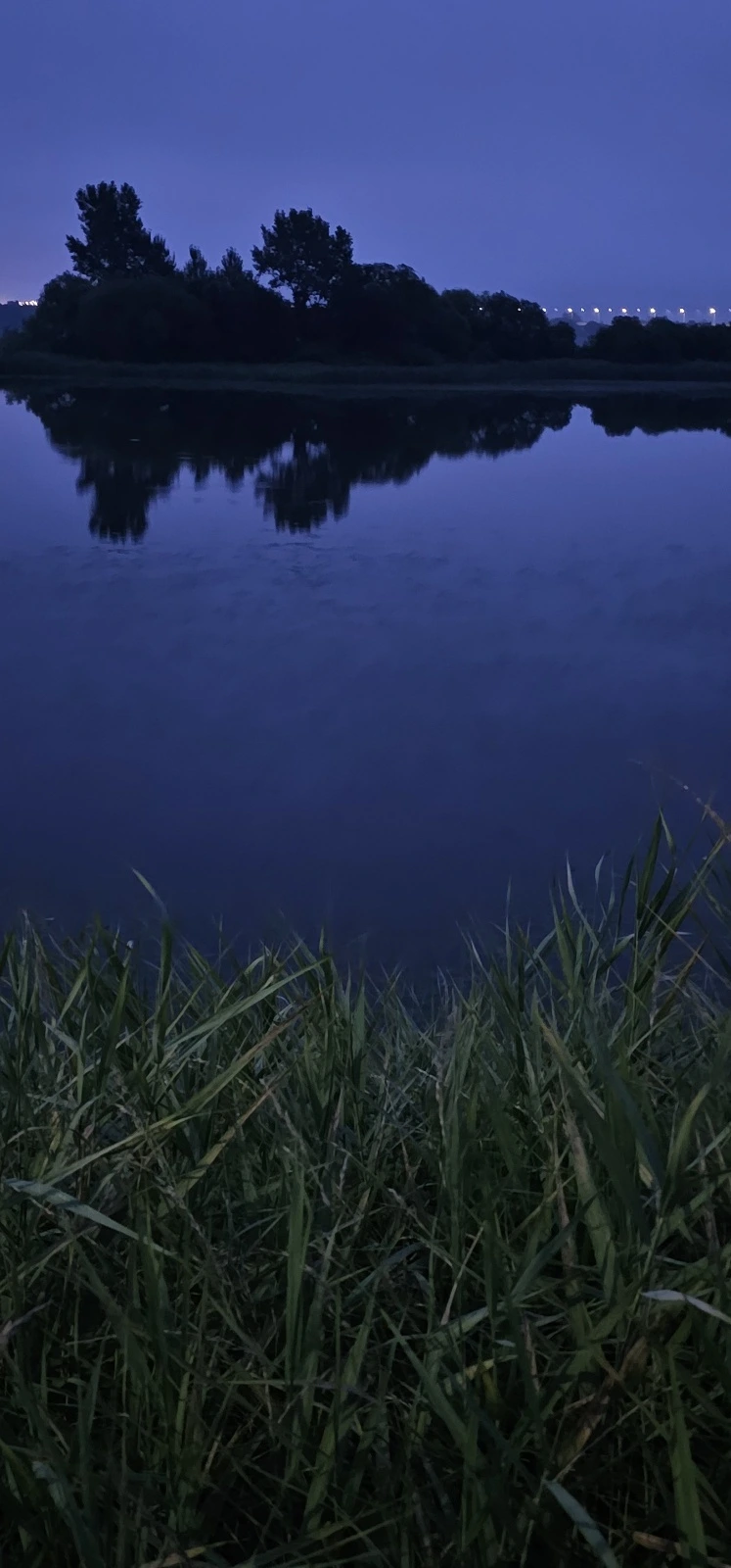 temp_1689543360310.175024781.jpeg?type=w773