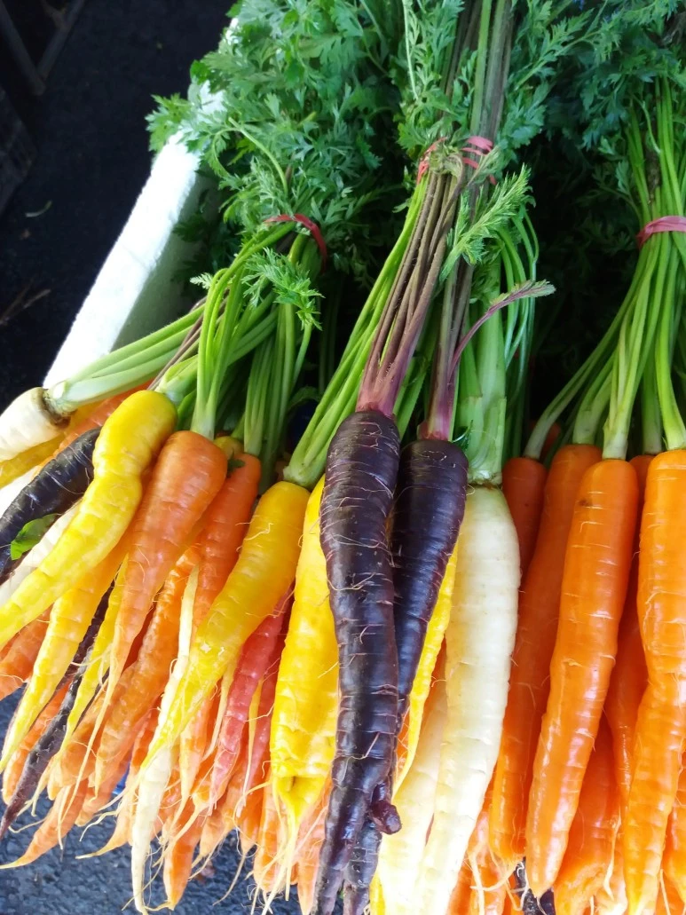 20180428_115354.jpg?type=w773