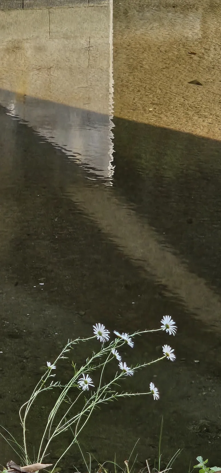 KakaoTalk_20241014_083342043.jpg?type=w773