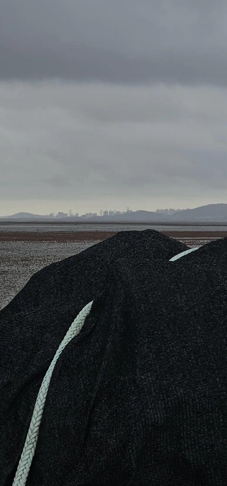 KakaoTalk_20240729_081412298.jpg?type=w773