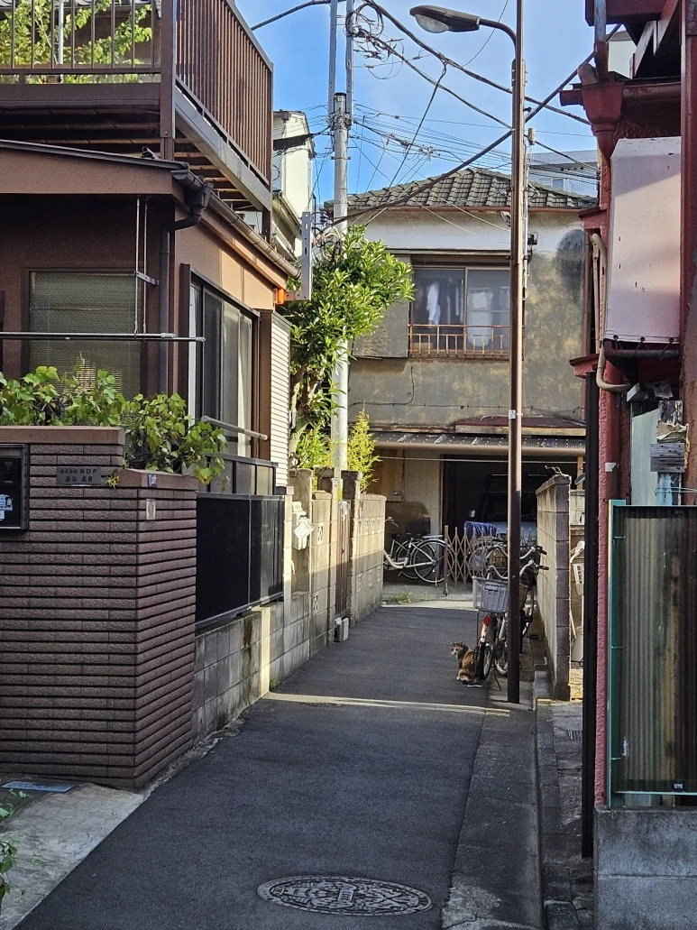 20230903_070537.jpg?type=w773