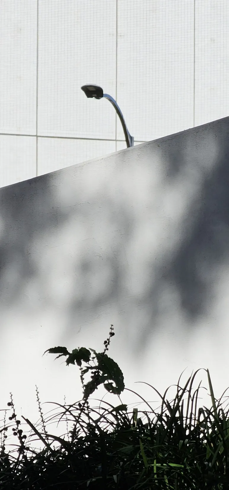 temp_1728340180649.1059327891.jpeg?type=w773