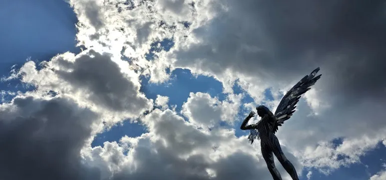 temp_1717712531732.435090206.jpeg?type=w773