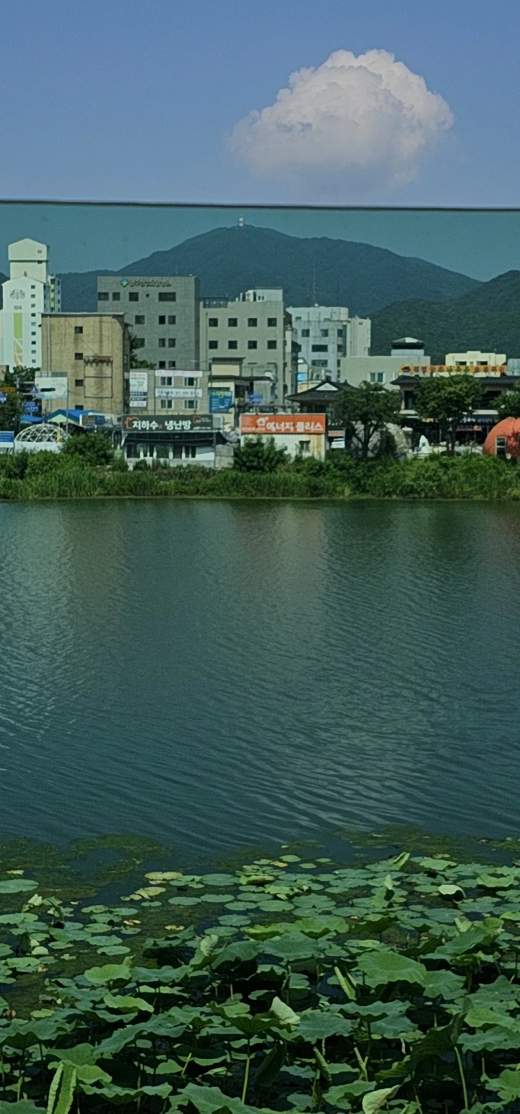 temp_1688941861820.-1076652095.jpeg?type=w773