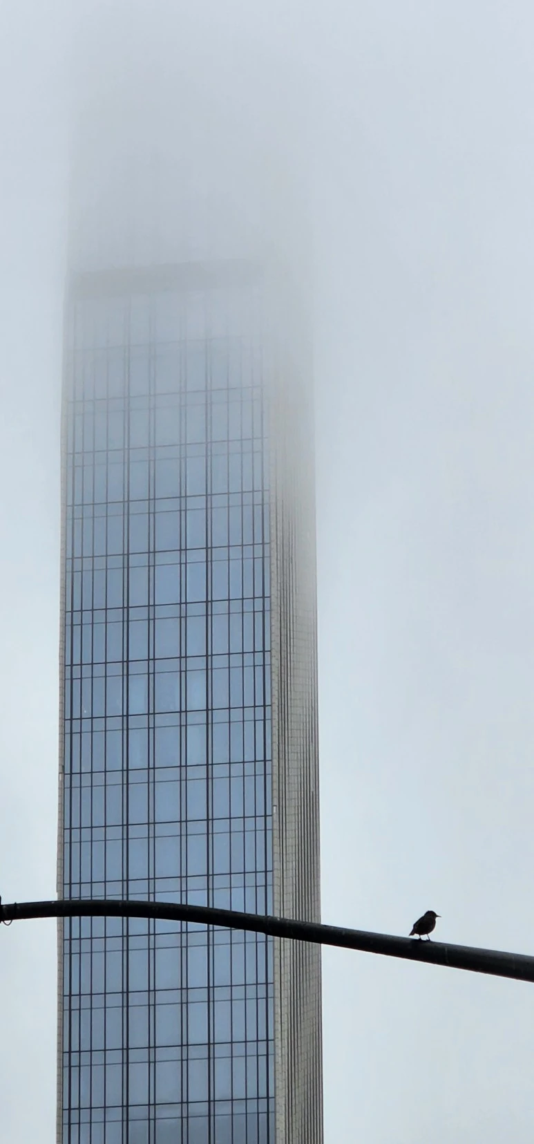 temp_1667944658564.-538810196.jpeg?type=w773