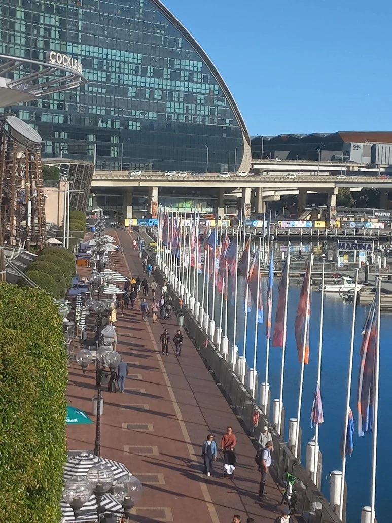 20230522_141144.jpg?type=w773