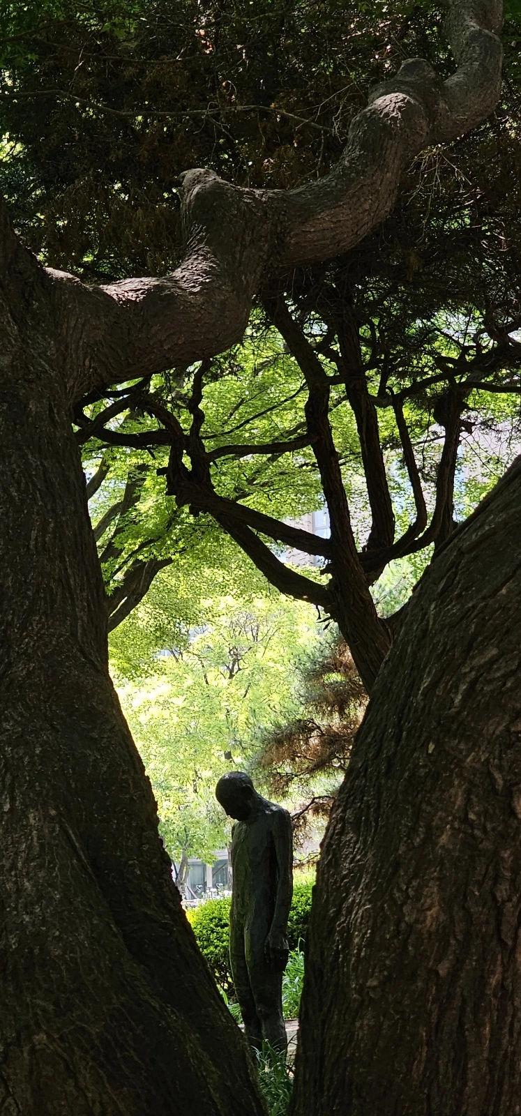 temp_1687729305602.-535051420.jpeg?type=w773