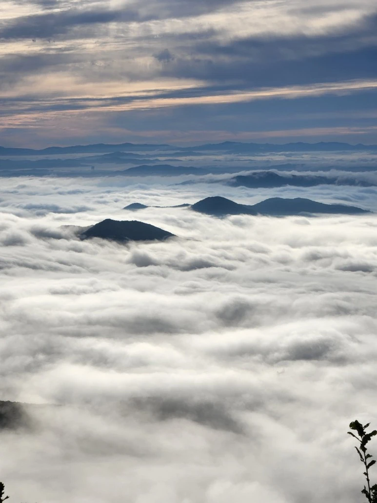 1662412897129-3.jpg?type=w773