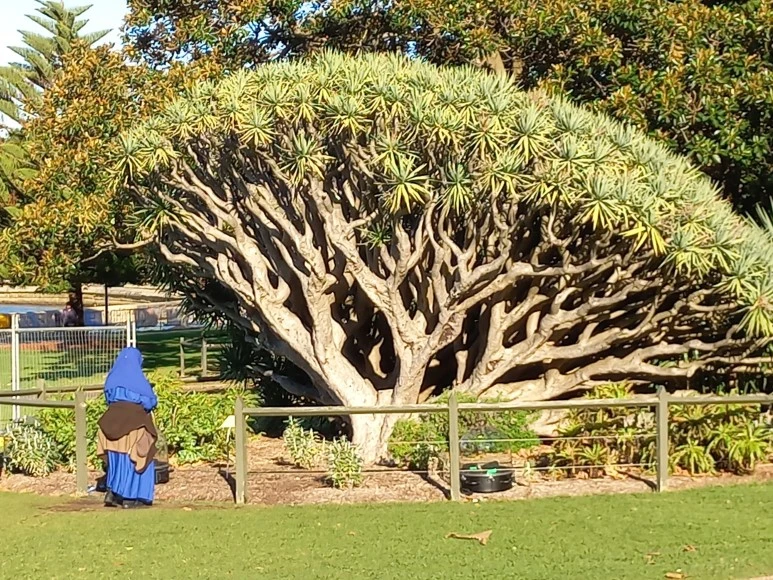 20230519_150410.jpg?type=w773