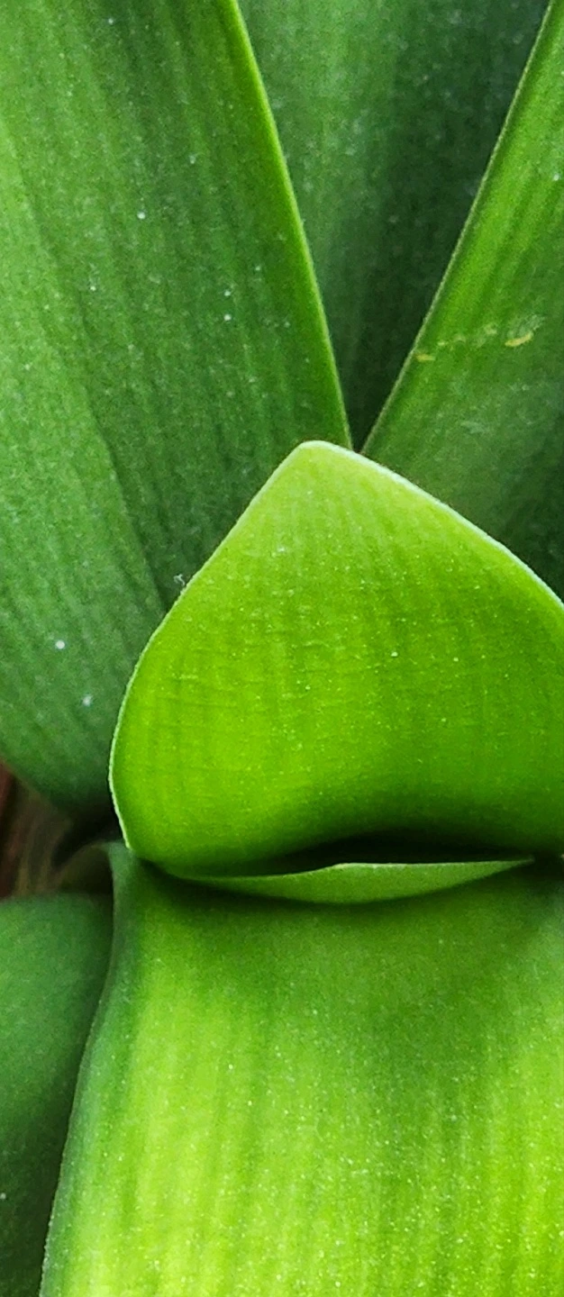 temp_1650927176857.115308275.jpeg?type=w773