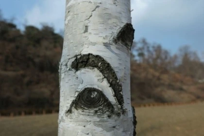 temp_1648592875543.-183321707.jpeg?type=w773