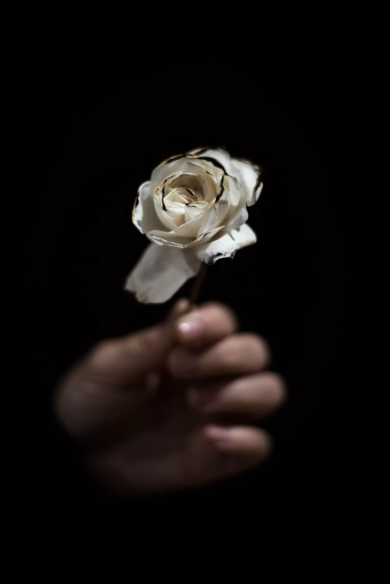 photo-1514175454715-fcf062e17a57.jpg?type=w773