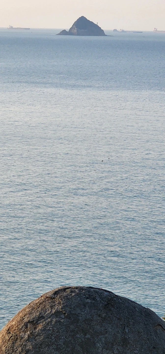 temp_1654554043558.1214407704.jpeg?type=w773