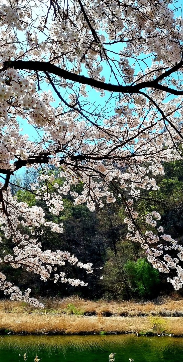 temp_1650405621983.-448108831.jpeg?type=w773