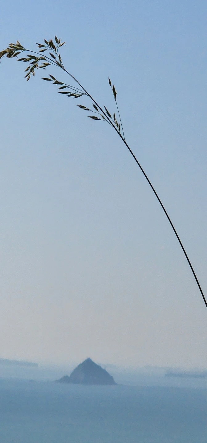 temp_1653258086316.849485108.jpeg?type=w773