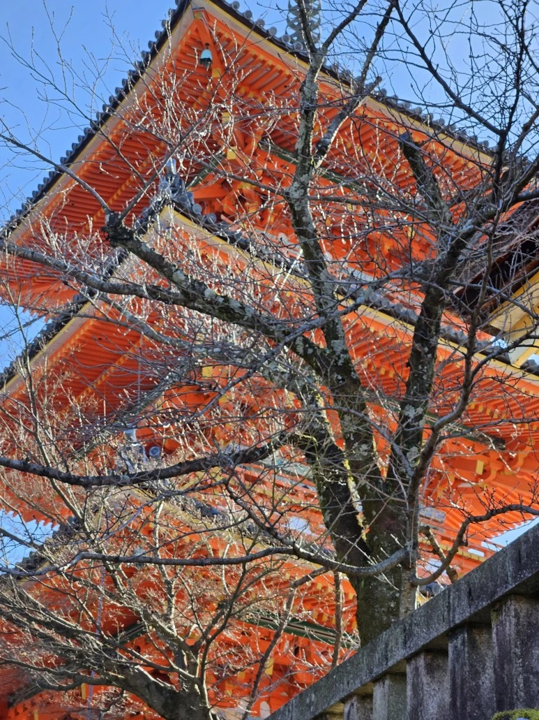 20240117_113350.jpg?type=w773