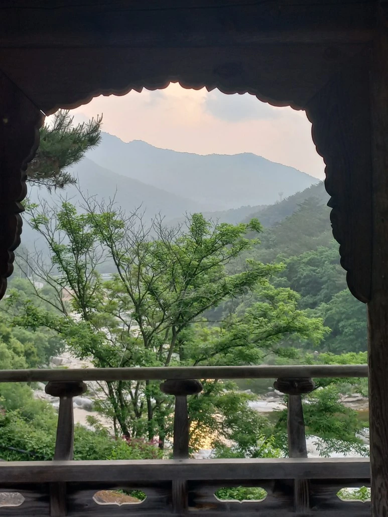 20230608_063634.jpg?type=w773