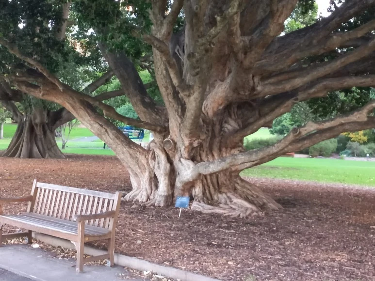 20230519_164015.jpg?type=w773