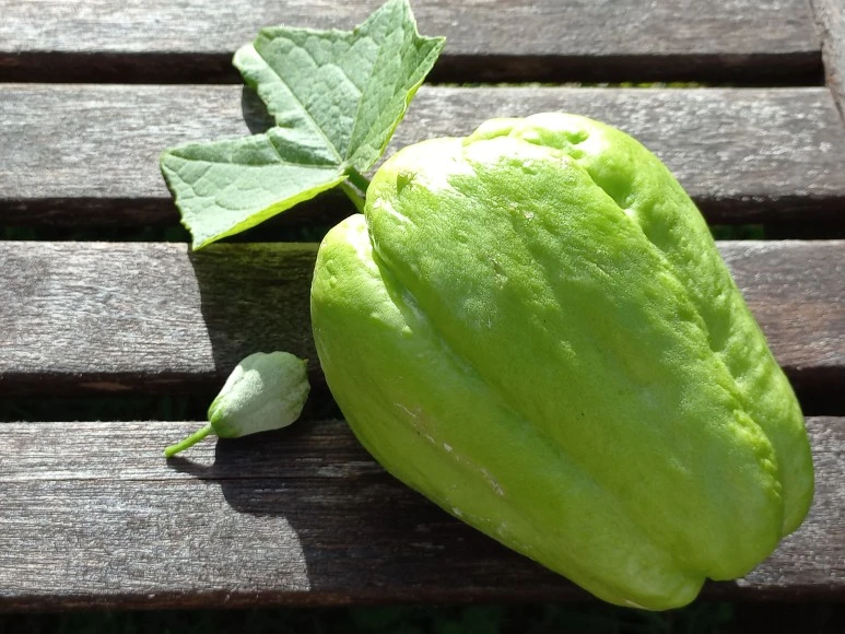 20230514_094140.jpg?type=w773