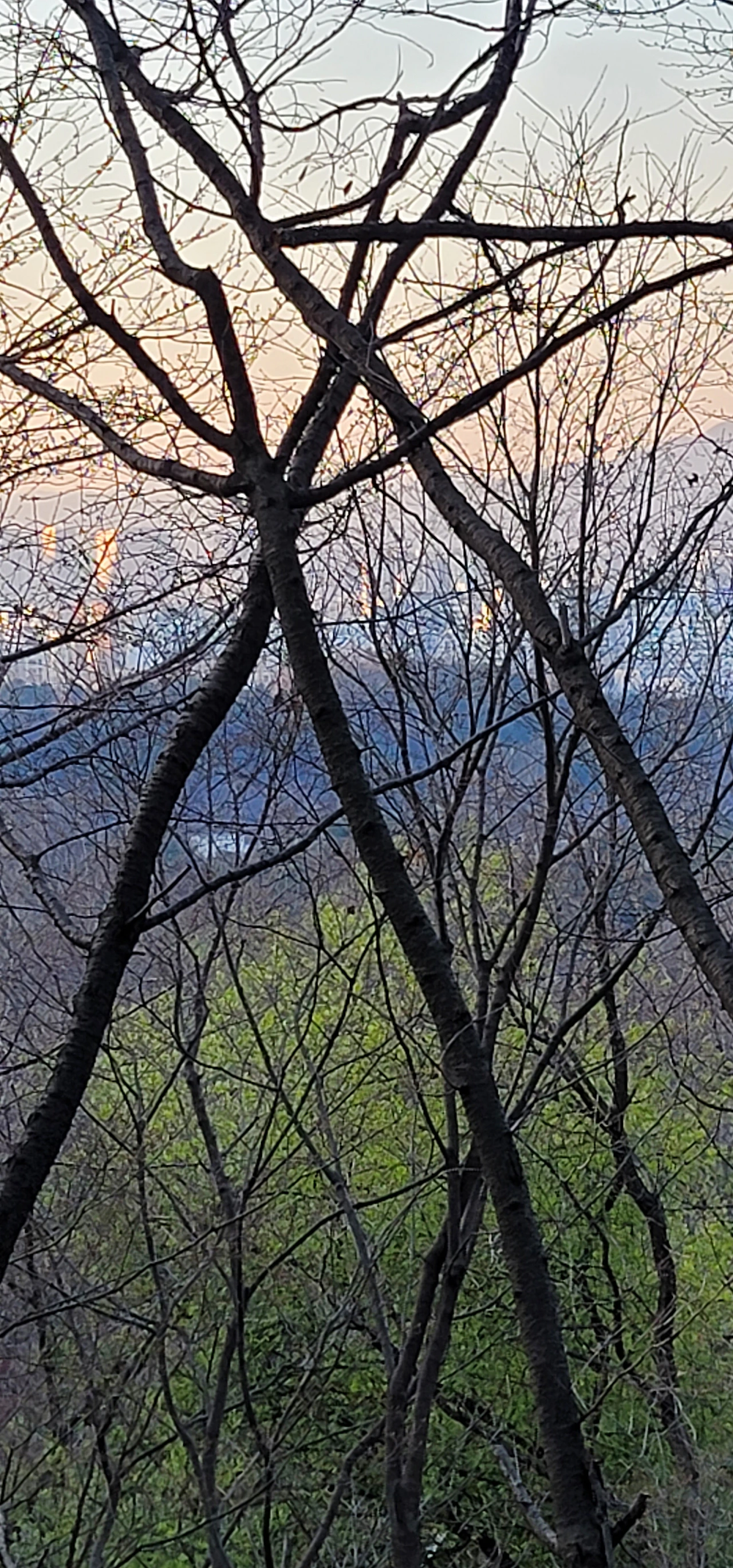 andtlr_2.png?type=w1600