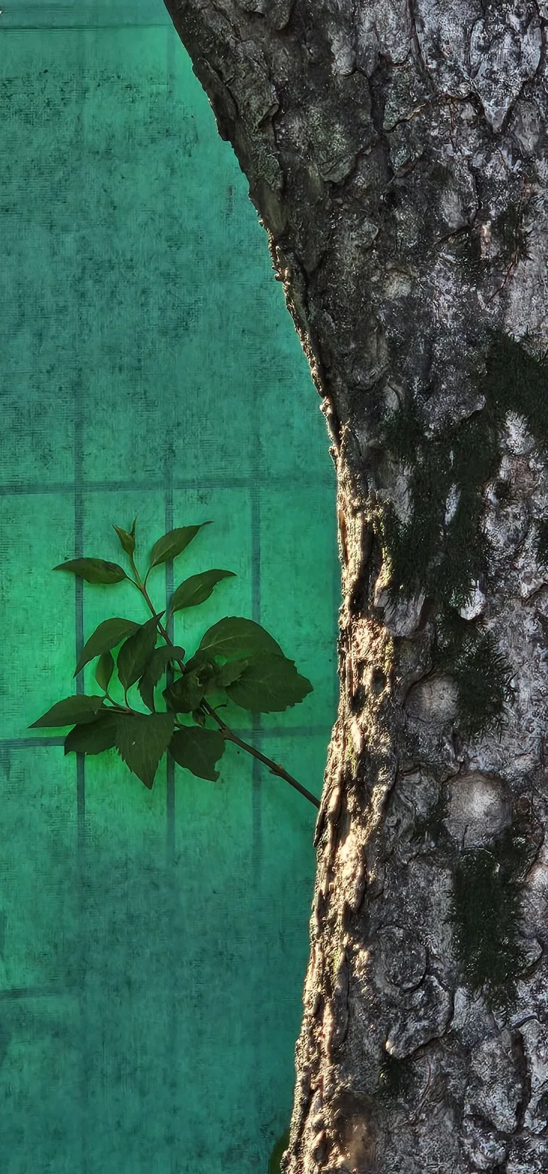 temp_1719786642912.-1412720881.jpeg?type=w773