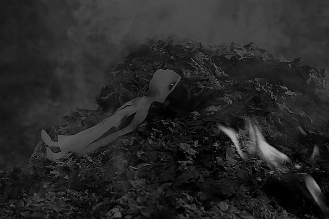 33391_55400_3039.jpg?type=w773