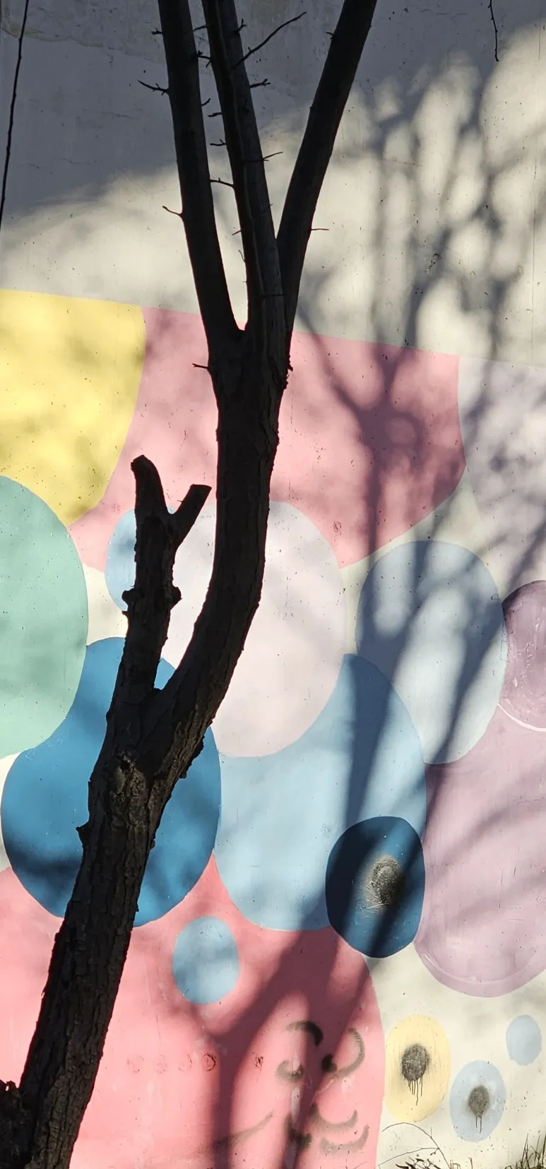 KakaoTalk_20241126_065815707.jpg?type=w773