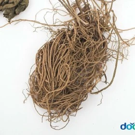 common.jpg?type=w773