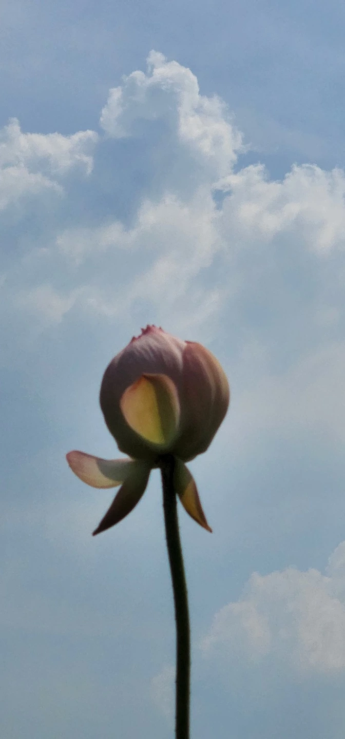 temp_1656887535796.-75002239.jpeg?type=w773