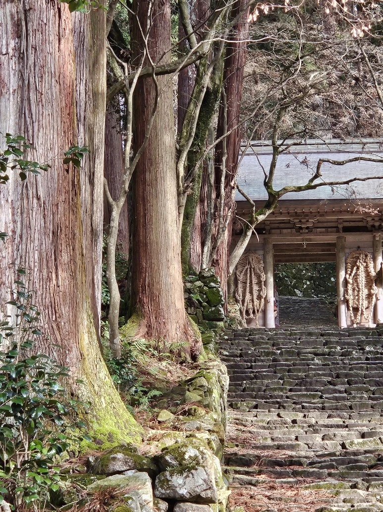 20240119_134515.jpg?type=w773