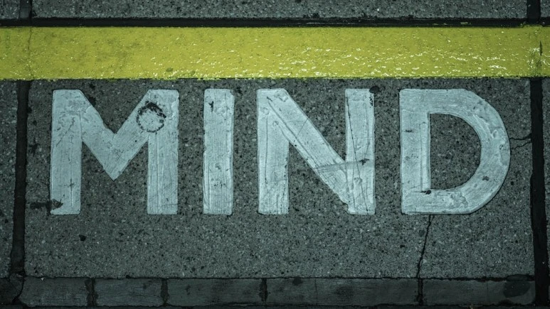 photo-1607075694157-a88e9b2f5992.jpg?type=w773