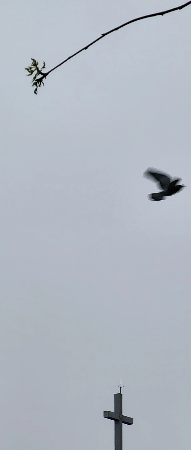 temp_1657492089766.-2002220409.jpeg?type=w773