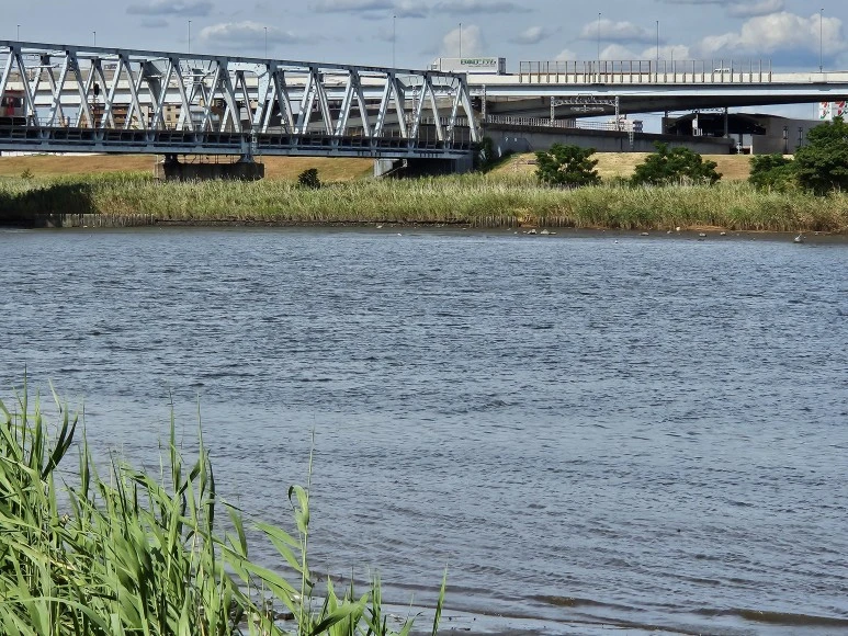 20230902_143206.jpg?type=w773