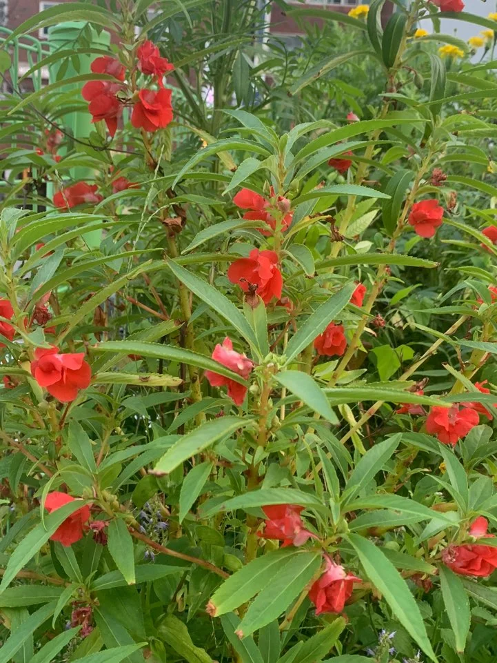 1694464308797.jpg?type=w773