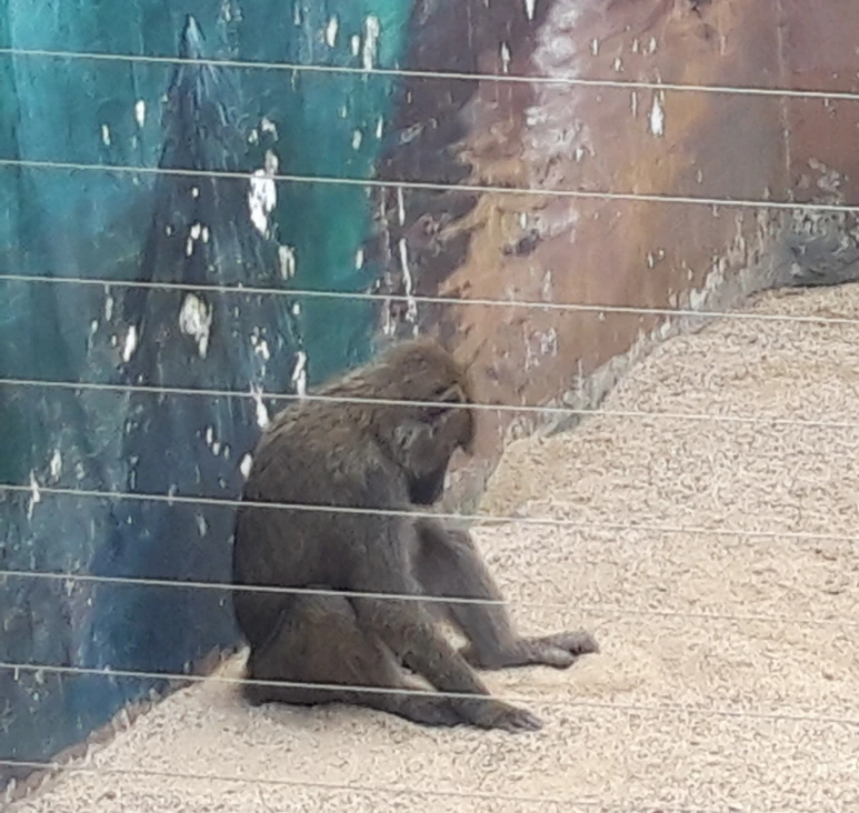 323(176)_%25EC%25A7%2591%25EC%259C%25BC%25EB%25A1%259C.png?type=w773