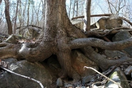 temp_1648592630180.1671036264.jpeg?type=w773