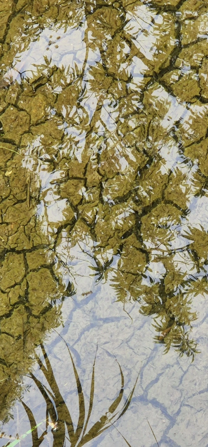 temp_1655157879721.-1286567346.jpeg?type=w773