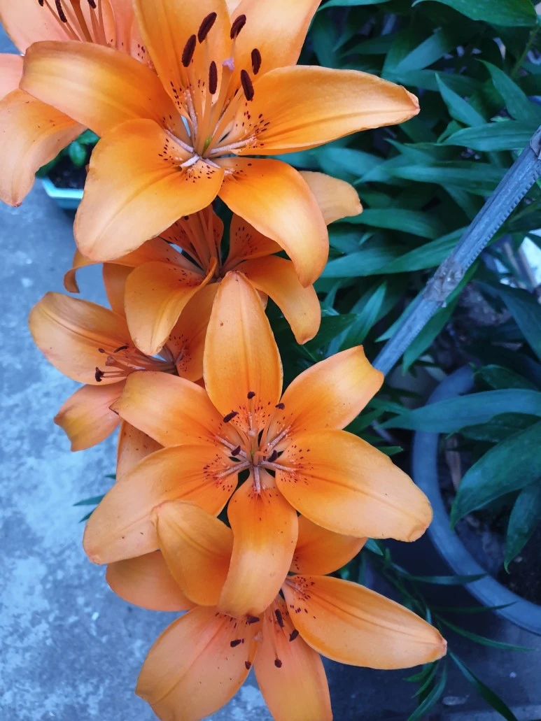 1654726723049.jpg?type=w773