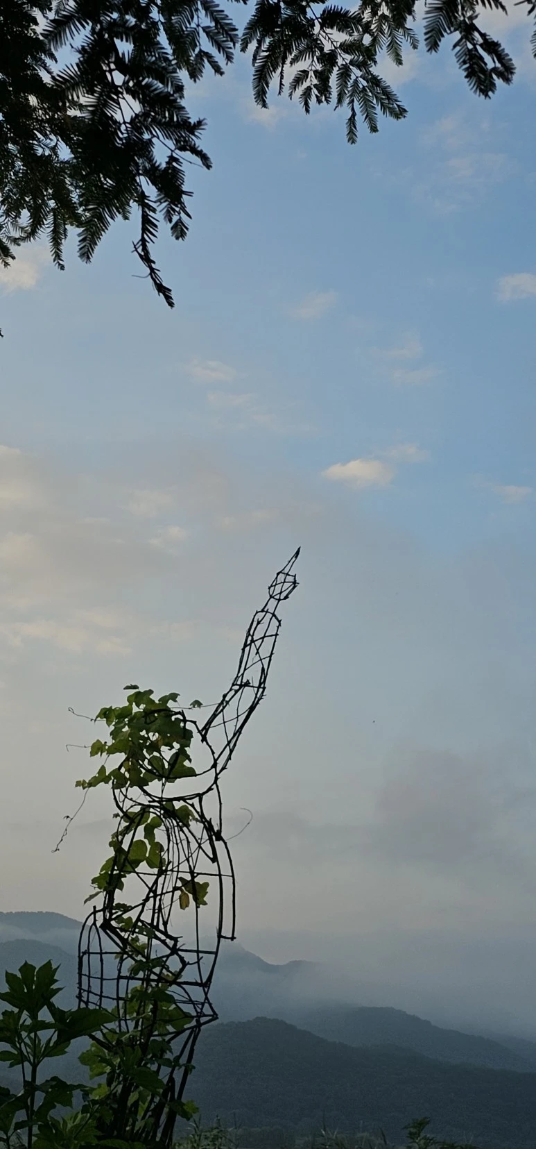 temp_1691359373606.-1212515022.jpeg?type=w773