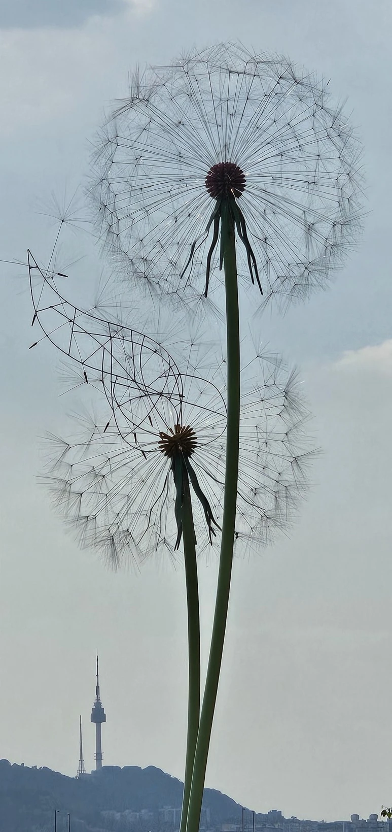 temp_1714703515759.297399069.jpeg?type=w773