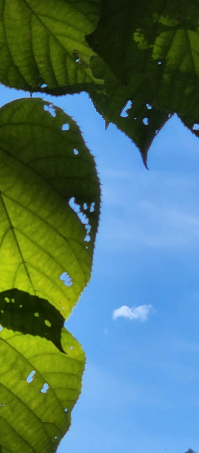 temp_1661723537002.-1223216557.jpeg?type=w773