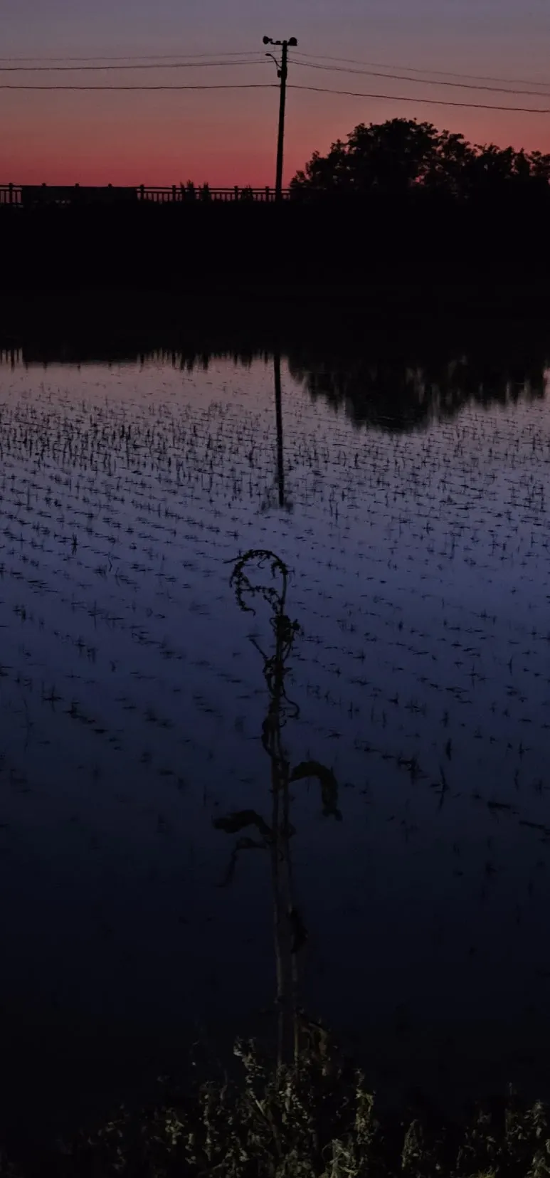 temp_1718663019691.1270744948.jpeg?type=w773