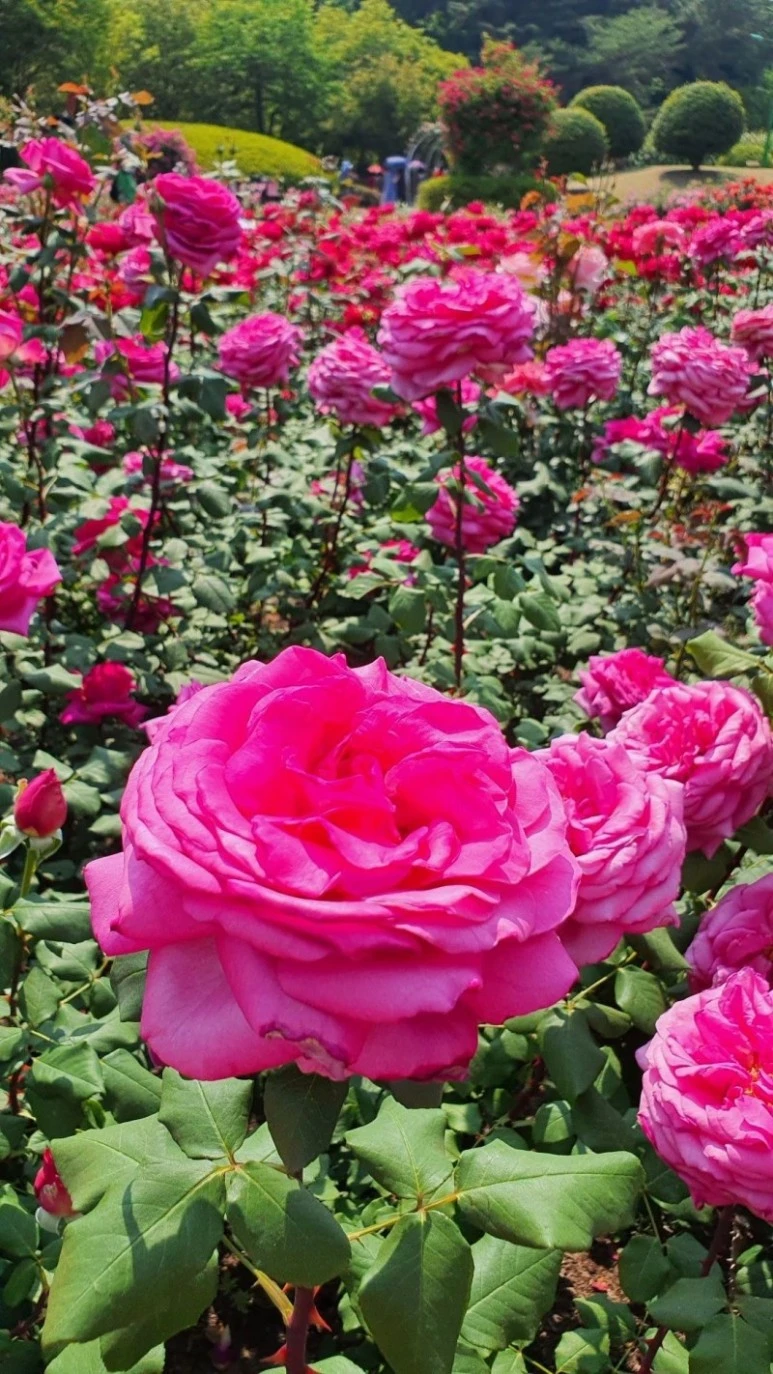 1655851191544.jpg?type=w773